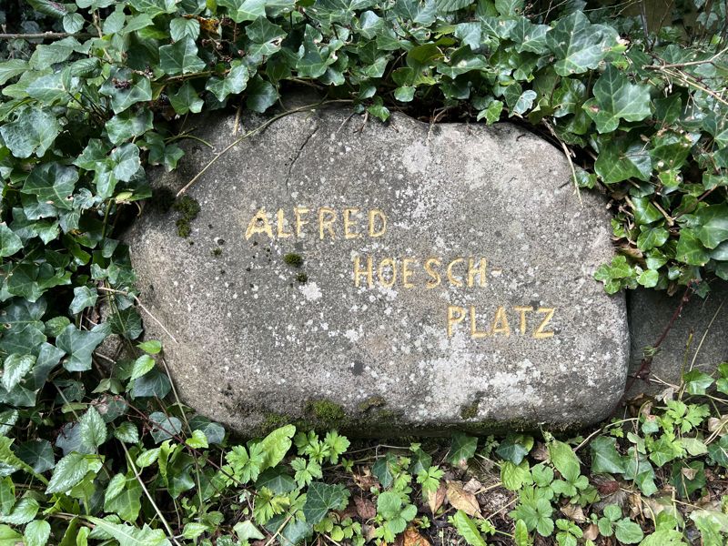 Stein Alfred Hoesch