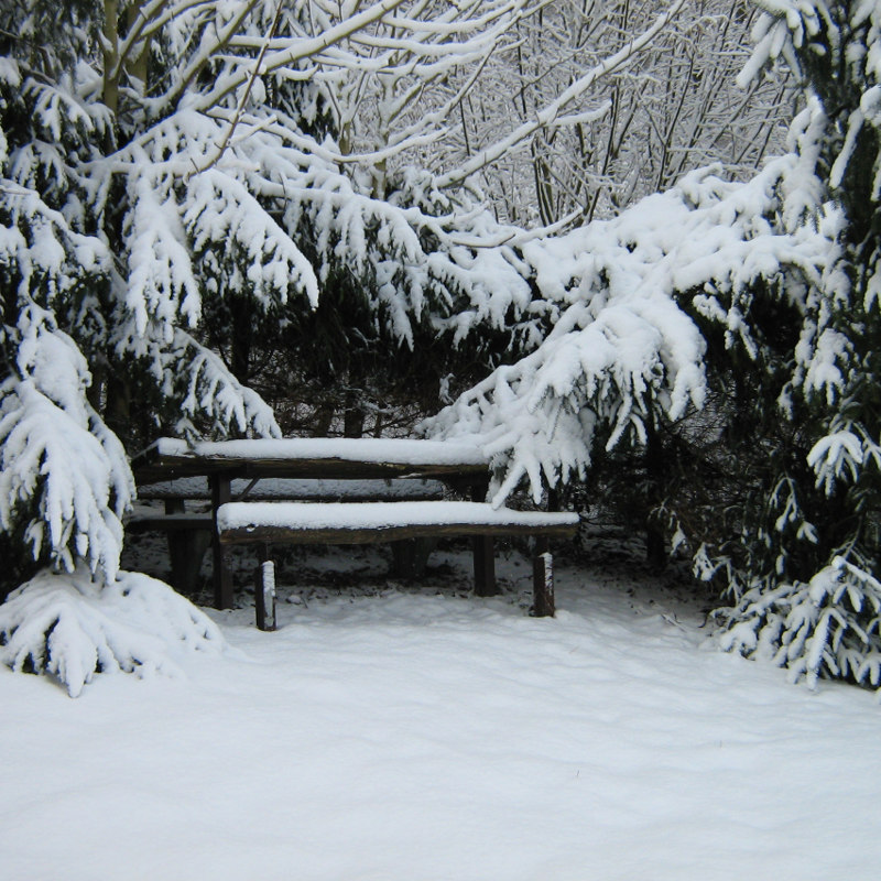 Bank im Schnee