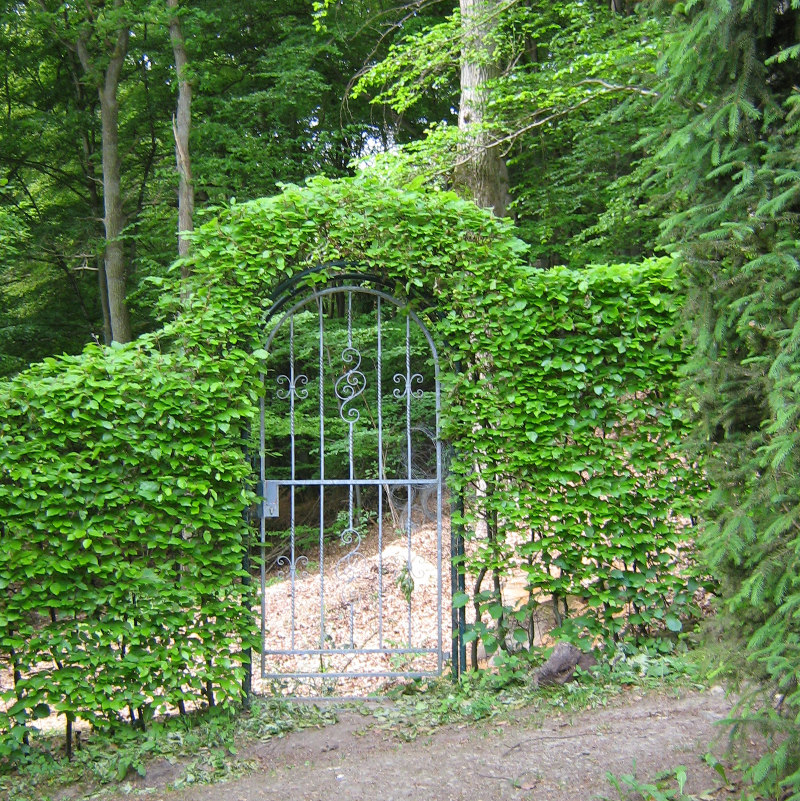 Dreesbachschild