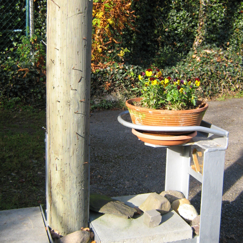 Kummernägel