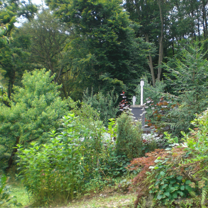 Schmiede im Wald