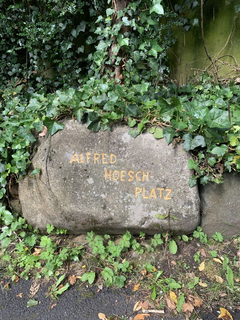 Stein Alfred Hoesch
